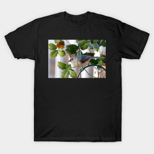 Titmouse T-Shirt